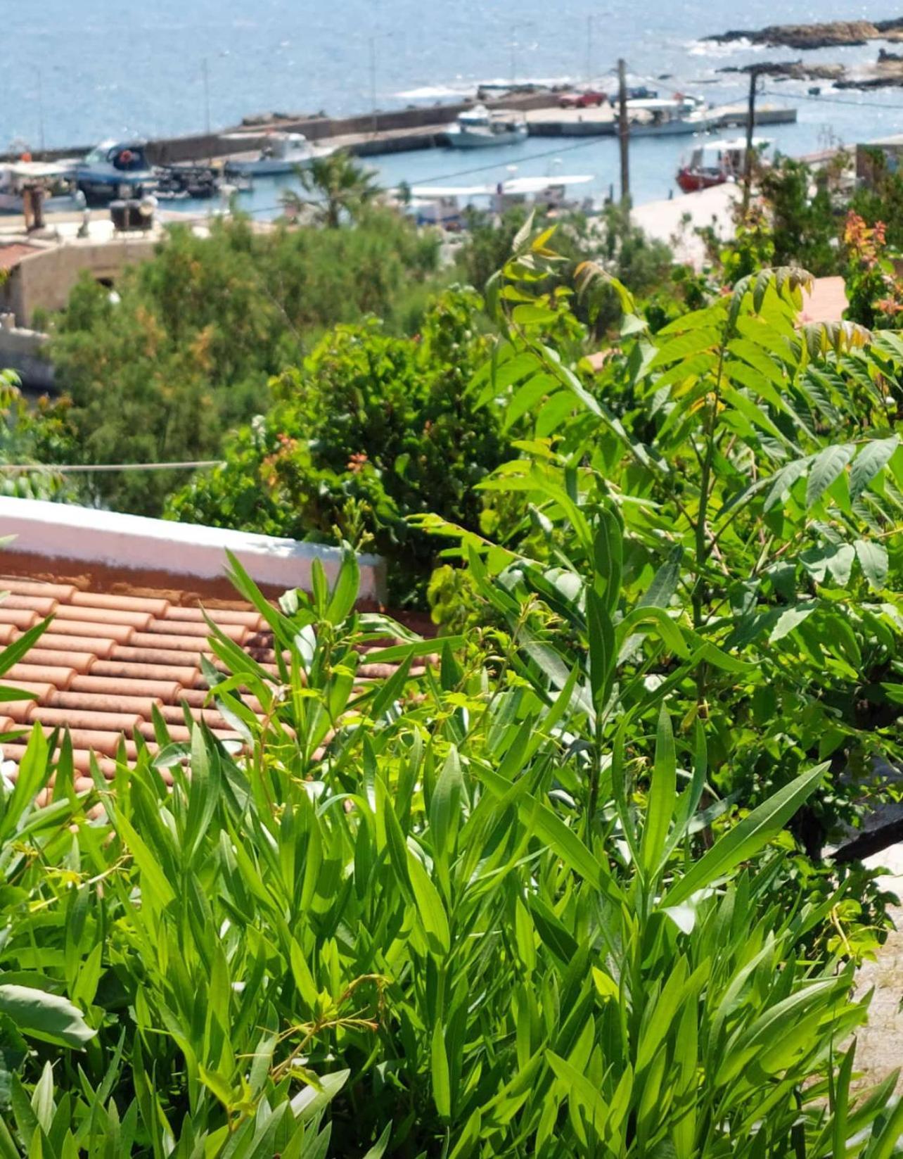 Villas Vista Del Mar Kissamos Ngoại thất bức ảnh